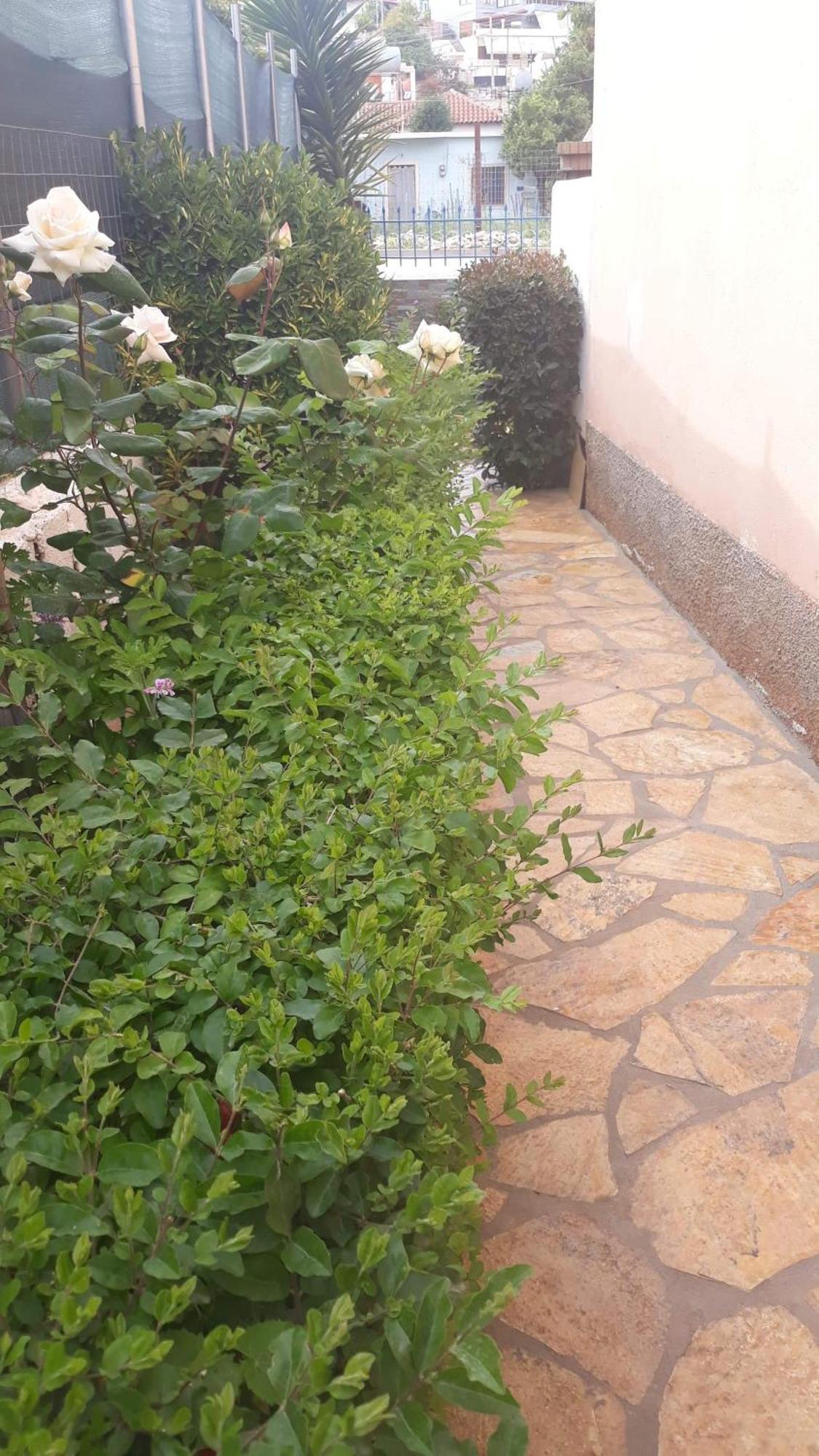 Vila Shuka Ksamil Саранде Екстериор снимка
